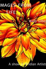 Images from Life af Wally Gilbert