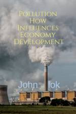 Pollution How Influences Economy Development af John Lok