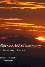 Serene Interludes af Knowlton Craig F. Knowlton