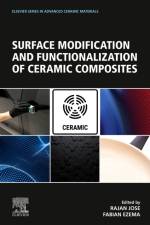 Surface Modification and Functionalization of Ceramic Composites