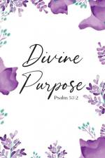 Divine Purpose af Sandra Jenkins