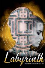 The Labyrinth af Ketaki Nirkhi