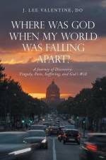 Where Was God When My World Was Falling Apart? af J. Lee Valentine Do