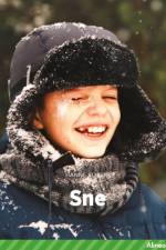 Sne, Grøn Fagklub