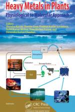 Heavy Metals in Plants