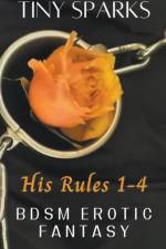 His Rules 1-4 af Tiny Sparks