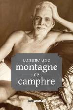 COMME UNE MONTAGNE DE CAMPHRE : ENSEIGNE af David Godman