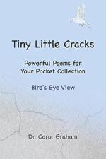 Tiny Little Cracks af Dr Carol Graham