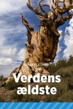 Verdens ældste af Maja Plesner