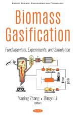 Biomass Gasification