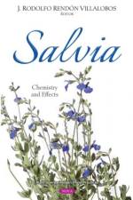 Salvia