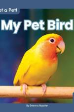 My Pet Bird