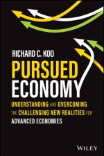 Pursued Economy af RC Koo