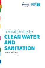 Transitioning to Clean Water and Sanitation af Gueladio Cisse