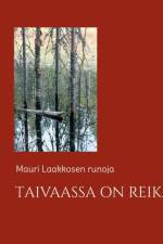 Taivaassa on reikä af Mauri Laakkonen