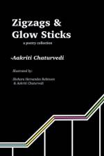 Zigzags and Glow Sticks af Aakriti Chaturvedi