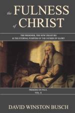 The Fulness of Christ af David Winston Busch