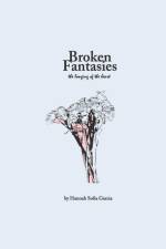 Broken Fantasies af Hannah Sofia Garcia