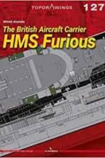 The British Aircraft Carrier HMS Furious af Witold Koszela