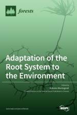 Adaptation of the Root System to the Environment