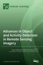 Advances in Object and Activity Detection in Remote Sensing Imagery