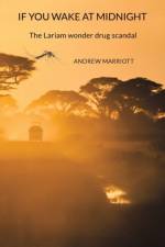 If You Wake at Midnight af Andrew Marriott