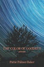 THE COLOR OF GOODBYE af Pattie Palmer-Baker