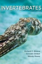 Invertebrates af Richard C. ( Brusca