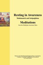 Resting in Awareness af Svenja Schmitt