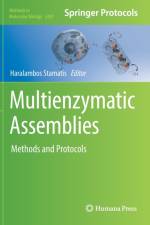 Multienzymatic Assemblies af Haralambos Stamatis