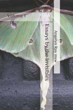 Essays by the Invisibles af Ray msw Angelyn Ray msw