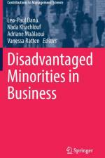 Disadvantaged Minorities in Business