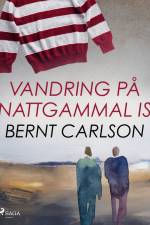 Vandring på nattgammal is af Bernt Carlson