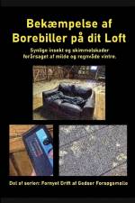 Bekæmpelse af Borebiller på dit Loft af Gitte Ahrenkiel