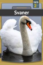 Svaner af Henrik Enemark