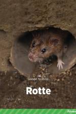 Rotte, Grøn Fagklub af Hanne Korvig
