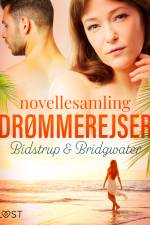 Drømmerejser – novellesamling af Anna Bridgwater