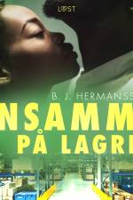 Ensamma på lagret - erotisk novell