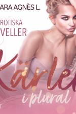 Kärlek i plural - 15 erotiska noveller