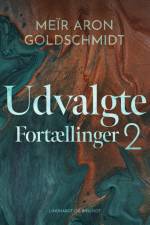 Udvalgte fortællinger 2 af Meïr Aron Goldschmidt