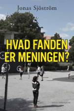 Hvad fanden er meningen? af Jonas Sjöström