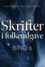 Skrifter i folkeudgave (bind 6) af Meïr Aron Goldschmidt