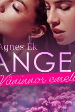 Angel 3: Väninnor emellan - Erotisk novell af Agnes Ek
