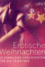 Erotische Weihnachten: 12 sinnliche Geschichten für die Feiertage