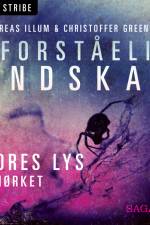 Uforståelig ondskab - Vores lys i mørket af Christoffer Greenfort