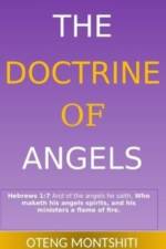 The doctrine of angels af Oteng Montshiti
