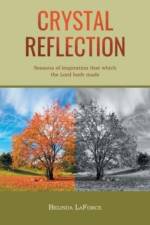 Crystal Reflection af Belinda LaForce