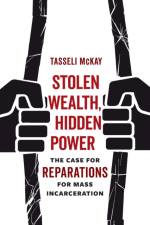 Stolen Wealth, Hidden Power af Tasseli McKay