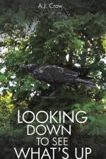 Looking Down to See What's Up af A. J. Crow
