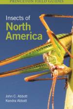 Insects of North America af Director of Museum Research and Collections) Abbott